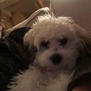 Meet your Posher, Suzanne